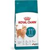 ROYAL CANIN GATTO SENIOR AGEING + 11 2 KG