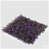 EDG Enzo De Gasperi Bosso Siepe 1mtx1mt B2 Lilac