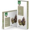 LIGNE DE PLANTES Carciofo Bio 20 Ampolle 15ml