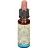 TESLA Sas di Dr.Zucchi & C. Tesla Armonic 29 Star Of Bethlem Integratore Alimentare 70g
