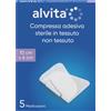 ALLIANCE HEALTHCARE IT.DIS.SPA ALVITA GARZA ADES TNT 10X6 5PZ