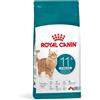 Royal Canin Sterilised Ageing 11+ - 400 g
