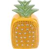 Cassettina Per Denaro Cassetta Porta Soldi Arredamento Dell'ananas