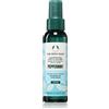 The Body Shop Peppermint Foot Spray 100 ml