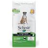 Schesir, Alimento Secco per Cani Adulti, Linea Mantenimento, Ricco in Agnello, Formato Large, 12 kg