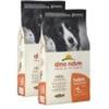 ALMO Holistic Adult dog medium salmone e riso 12kg x2pz