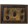 Muela Silverware FRAMEWORK 5 HUNTING TROPHIES cm 23x16