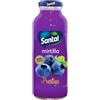 Santal Succo di Frutta Santal Prestige Mirtillo Bottiglia Vetro 24 x 250 ml