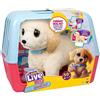 Rocco Giocattoli Little Live Pets - Ouchies | Cagnolino Peluche con funzioni e accessori,Rocco Giocattoli,Eta 5+