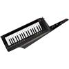 Korg RK-100S 2 BK Sintetizzatore Tastiera a Spalla 37 Tasti Nero con Custodia...