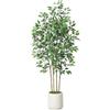 SOGUYI Ficus Piante Finte 180 cm Pianta Artificiale da Interno, Pianta Finta da Grandi in Fioriera in Ceramica Imitazione Bianca con Muschio Finto Verde per Soggiorno(1 Pezzi)