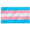 TRIXES Bandiera transessuale- Misura grande per interni ed esterni - Celebra la diversità a Bi Pride, festival, feste estive - Rosa bianco blu - 5 ft x 3 ft (152 cm x 91 cm c.ca)