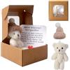 TOGETDREAM Orsetto Nella Scatola, Peluche Orso in Scatola Giocattolo Animale Fatto A Mano Con Biglietto Ispirazionale Animale Peluche Bambola Orso Tasca Per Laurea Mamma Neonato Battesimo Natale Bianco