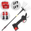 Zanon Kit Olive Light 1 - Abbacchiatore e forbice a batteria - Asta telescopica 170 - 250 cm - 4 x 14,4V 2,5Ah