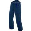 Dainese PANTALONI SCI HP2PM1 BLUE-ASTER Man | DAINESE SCI