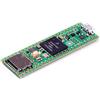 PJRC Teensy 4.1 (Senza Ethernet, Senza Perni)