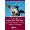 L'Età dell'Acquario Il volo dell'arcangelo. L'allineamento dei grandi santuari dedicati a san Michele