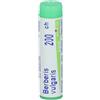 BOIRON Berberis Vulgaris 200ch Globuli Monodose Boiron