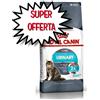 ROYAL CANIN GATTO ADULTO URINARY CARE 2 KG