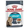 ROYAL CANIN GATTO UMIDO ADULTO URINARY CARE SALSA 85 G BUSTINA