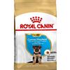 ROYAL CANIN CANE GERMAN SHEPHERED PUPPY 3 KG