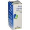 BOIRON RIBES NIGRUM GEMME 60ML MG