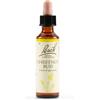 SCHWABE PHARMA ITALIA Srl CHESTNUT BUD BACH ORIG 20ML