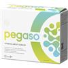 PEGASO AXIBOULARDI JUNIOR 14BS