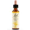SCHWABE PHARMA ITALIA Srl CERATO BACH ORIG 20ML