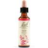 SCHWABE PHARMA ITALIA Srl ELM BACH ORIG 20ML