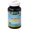 MAP ITALIA Srl MELOMAP B POLVERE 30G