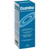 FARMA-DERMA Srl CICATRIDINA DERMO DETERGENTE