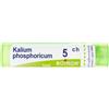 BOIRON Kalium Phosphoricum 80 Granuli Multidose 5 Ch Boiron