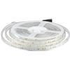 Brightium STRISCIA LED 5 METRI 10W/m, COLORE 3000K, IP65, 24V, ideali per illuminazione interna ed esterna, alta efficienza energetica. *