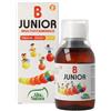 Alta Natura BJUNIOR 100 ml Vitamina B Junior Liquida