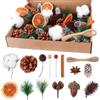 Joxessaien Set di 170 pezzi per corona di Natale - Accessori per corona dell'Avvento con cotone, fette di arancia essiccate, bastoncini di cannella, anice stellato, noci, pigne, bacche, rami di abete