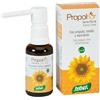 SANTIVERI PROPOLFLOR SPRAY BUCAL 30ML