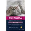 EUKANUBA Cat Kitten All Breeds Healthy Start Chicken 10 kg