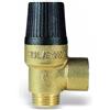 Watts Industries Watts Valvola Di Sicurezza 6 Bar Msl60. 1/2"N