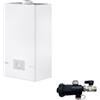 Riello Caldaia A Condensazione Replexa 25 KIS Metano LOW NOX 25 kW e Defangatore Omaggio ,
