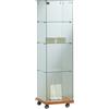 Ristoattrezzature Modello: 1999,Vetrina neutra da pavimento 40x40x140 cm