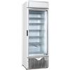 Ristoattrezzature Modello: 6324,Vetrina congelatore verticale ventilata 403lt -15°C -25°