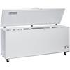 Ristoattrezzature Modello: 76561444063,Raffreddatore a pozzetto statico -25 -15 ° C 2055x730x905 h mm 700 lt
