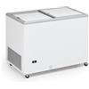 Ristoattrezzature Modello: 10894066582665,Congelatore a pozzetto con ante scorrevoli 256 lt -18 -25°C 106,3x67x89,5h cm
