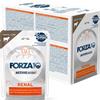 Forza10 Renal Active Cibo Umido per Gatti - 12x80 gr