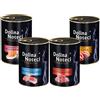 DOLINA NOTECI Premium Mix gusti 24 x 400g per gatti