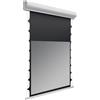 celexon DELUXX Cinema schermo alto contrasto Tension II 280 x 158 cm, 126 - DAYVISION ALR