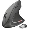 Trust Mouse Trust Verto Wireless Ergonomic [UMTRURBD0000031]