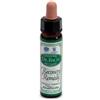 SANTIVERI Sa AINSWORTHS RECOV REMEDY 10ML