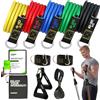 KUDDA Set di elastici fitness 5 bande di resistenza fino a 100KG, bande elastiche Fasce di resistenza per yoga, pilates, palestra, calisthenics, crossfit, TRX, casa, resistance bands ALTA QUALITÀ